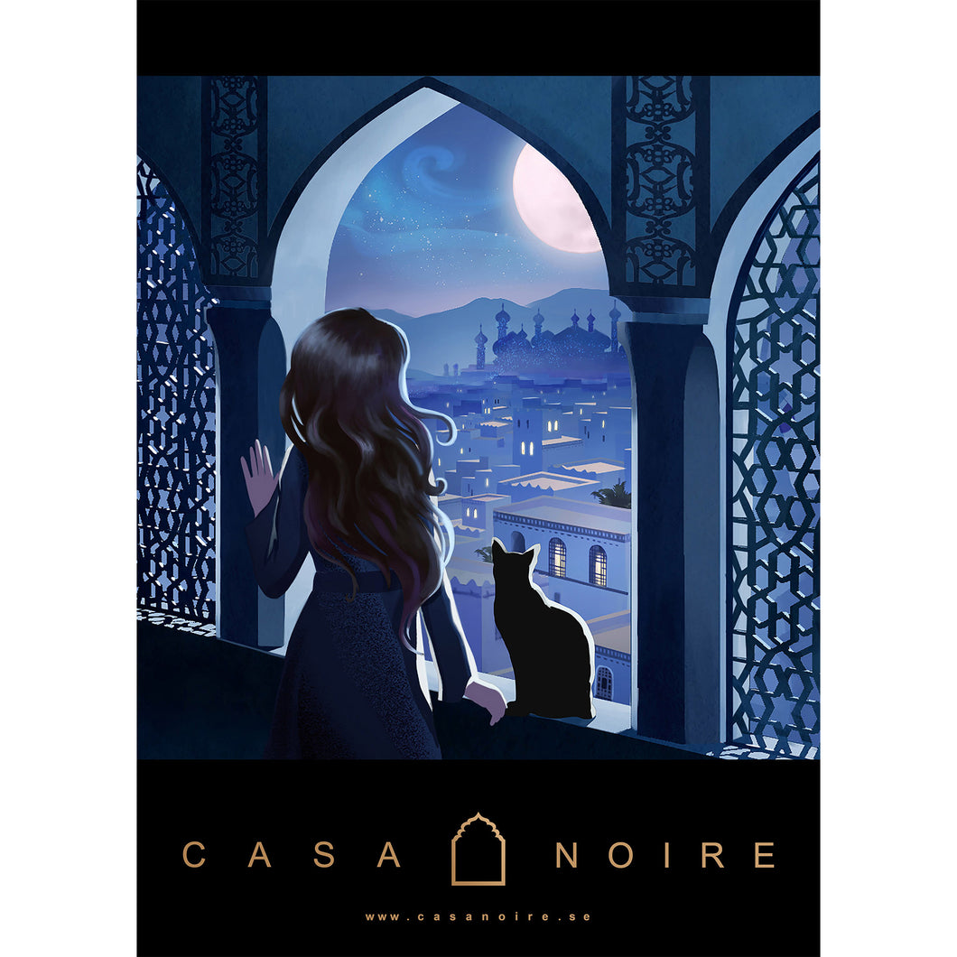 Casa Noire Art Poster #02