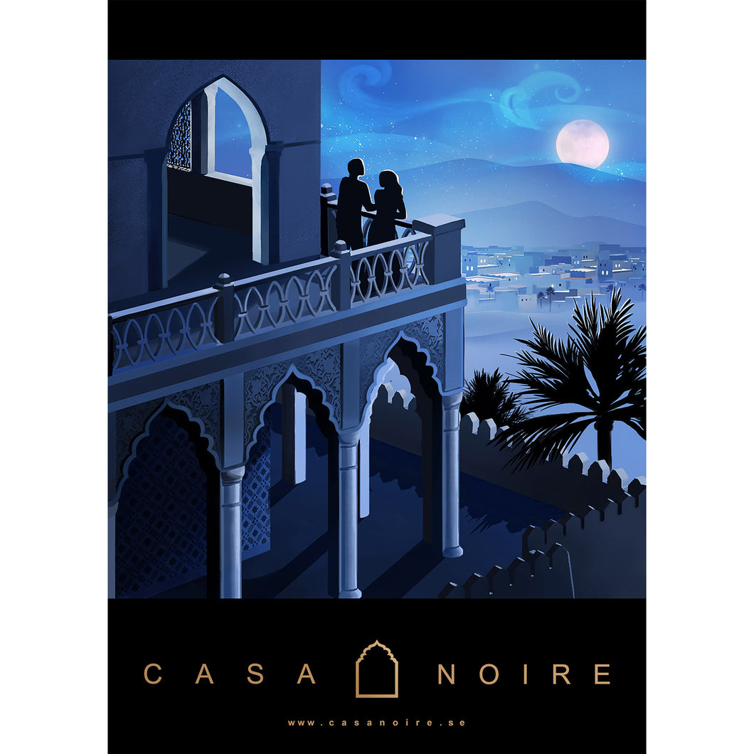 Casa Noire Art Poster #08